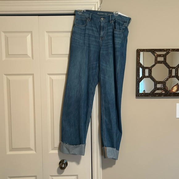 Ladies American Eagle low rise Skater Jean.  New with Tags Size 8 (29 waist) - Picture 1 of 4